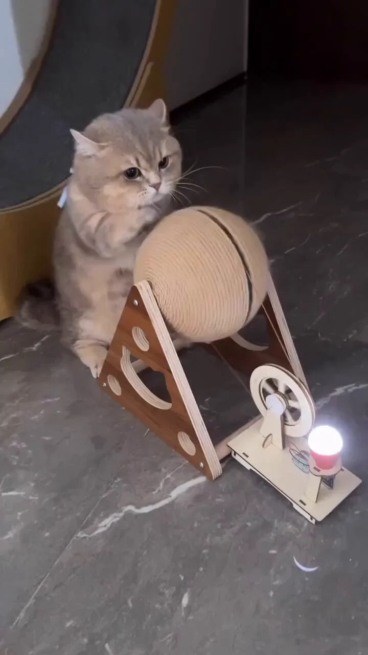 The cat generate electricity https://t.co/Ov165Lalth