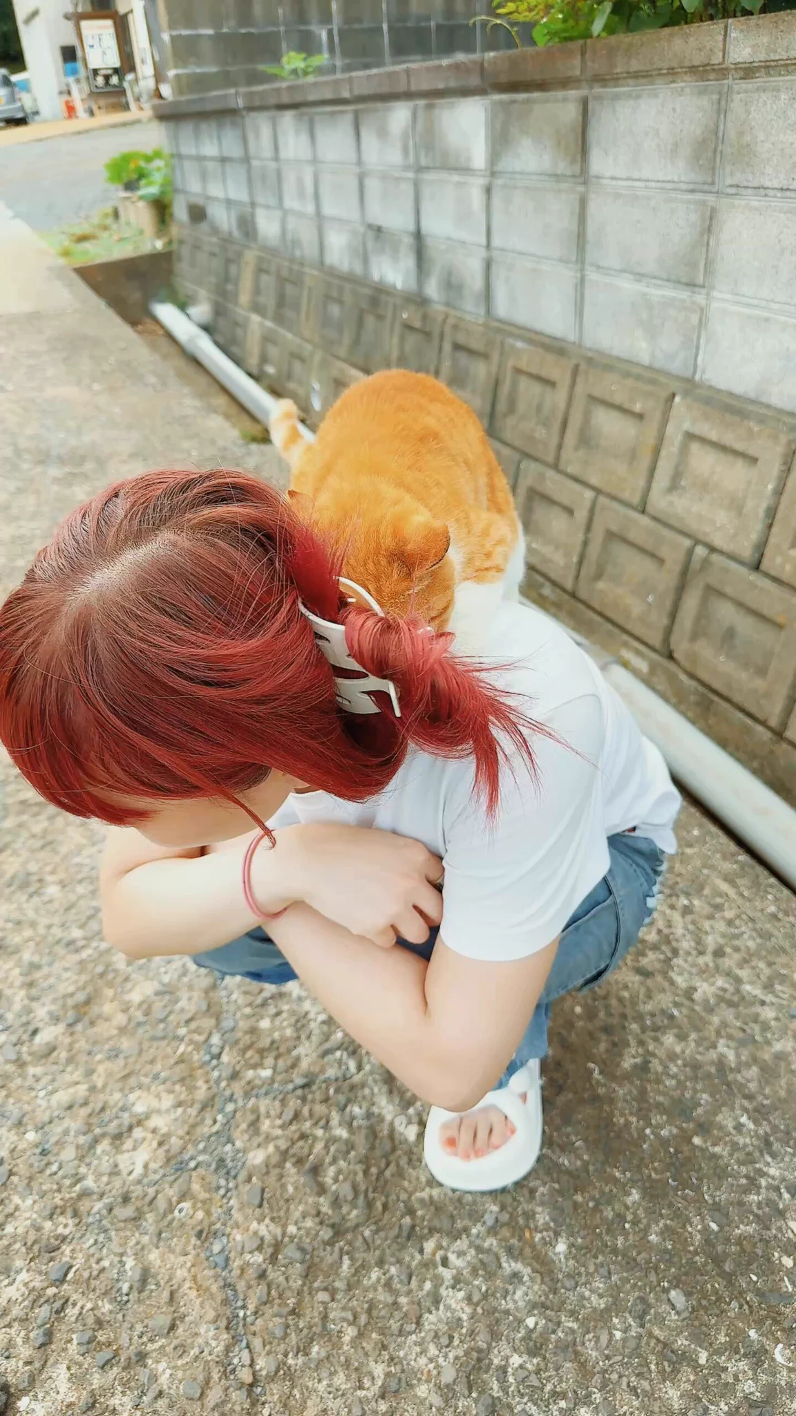久しぶりのオトモ🐱 https://t.co/pmbitvrwOF