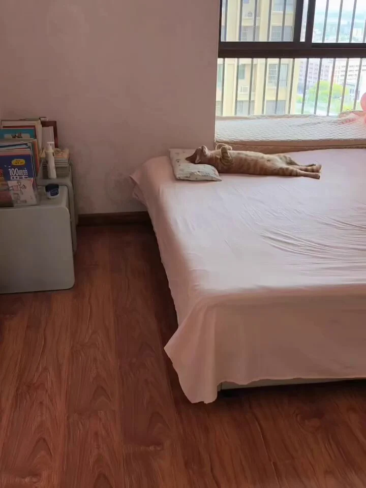 https://t.co/7PEGfb0YZW