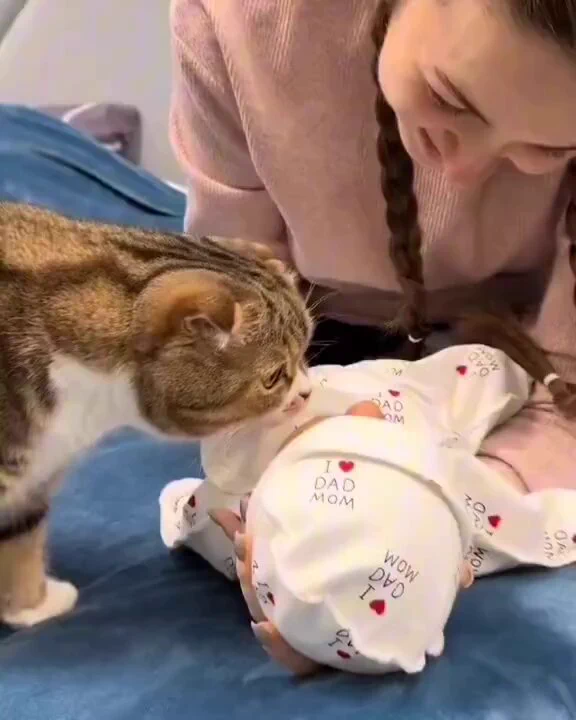 https://t.co/VgQVXOM66P