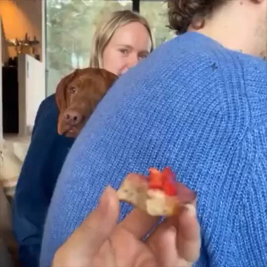 Now give it.. 😅 https://t.co/MzdiJZ5kRq