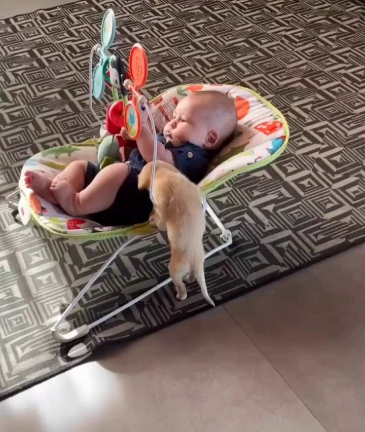 They're best friends already..🐕🐾👶🙂 https://t.co/EKcp6SEvXm