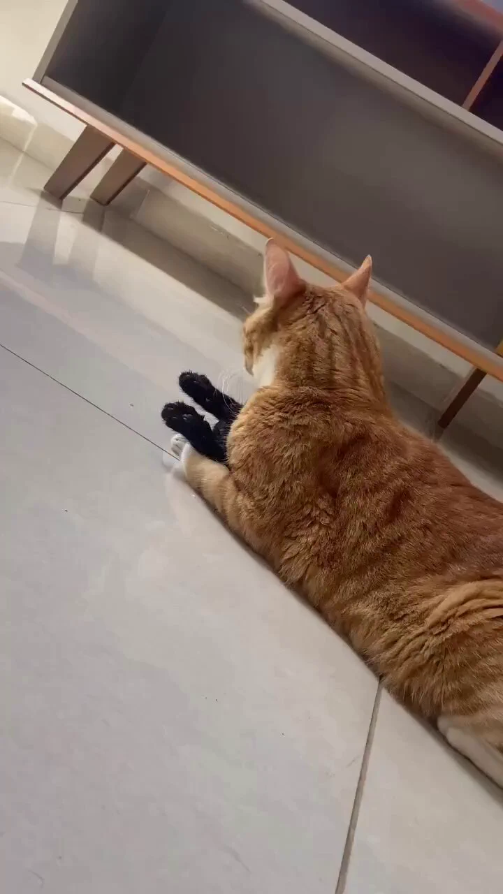 bro doesn't have a choice but to be loved https://t.co/4rEB6D0Sl2