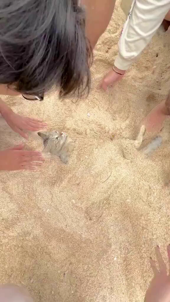 0 survival instinct https://t.co/cNLoPdcIHL