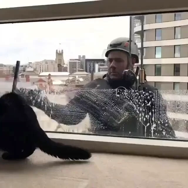 Apprentice window cleaner. https://t.co/R2OMk0eIUf
