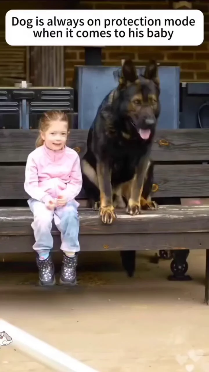 Guardian angels..🐕🐾🙂❤️ https://t.co/GXOyjflfuO