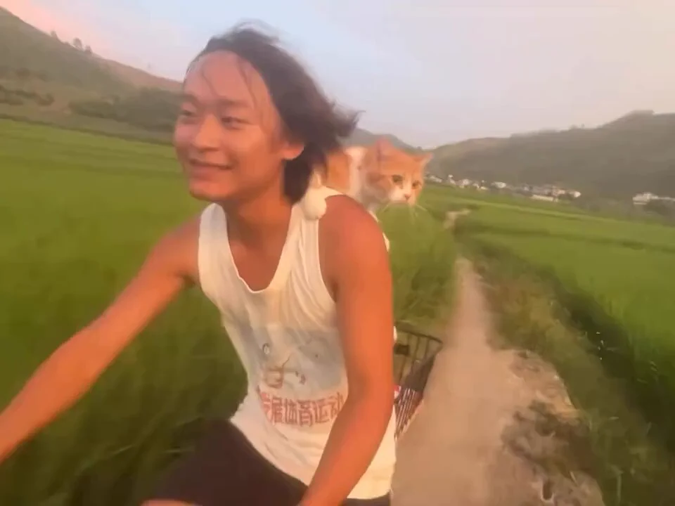 crypto guys chasing 100x their whole life just to dissapear to place like this
https://t.co/EfZzxpeR6H