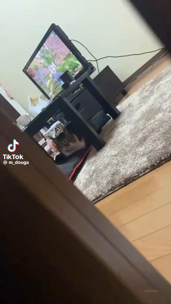 友達の猫隠し撮りしてたら詰められた https://t.co/Yz41RCIUN8