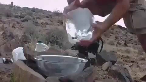 Kind person leaves ice water for fox family in desert heat.. 😊 https://t.co/Wh02kVdcjX