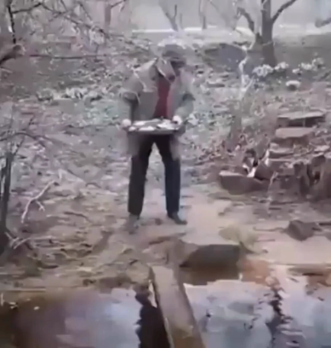 Water is lava..🐈🐾😅 https://t.co/R27qaTrv5P