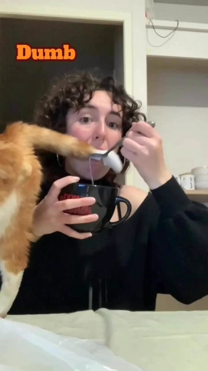 Typical cat activities https://t.co/p8HvnoUScI
