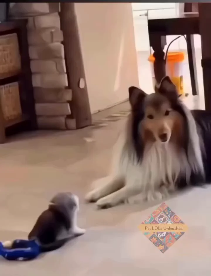 Mama cat was standing on business
https://t.co/x1Xql2V0Ec