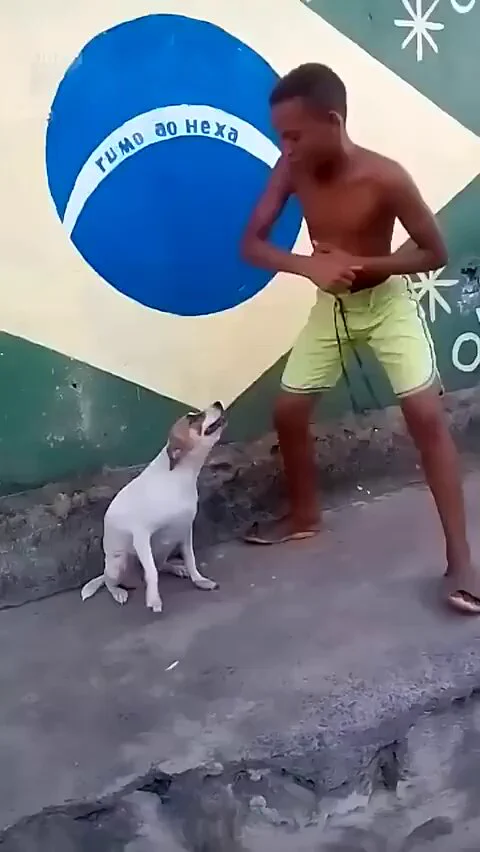 Brazil Dog Dance (2016) https://t.co/4ywAtowexV