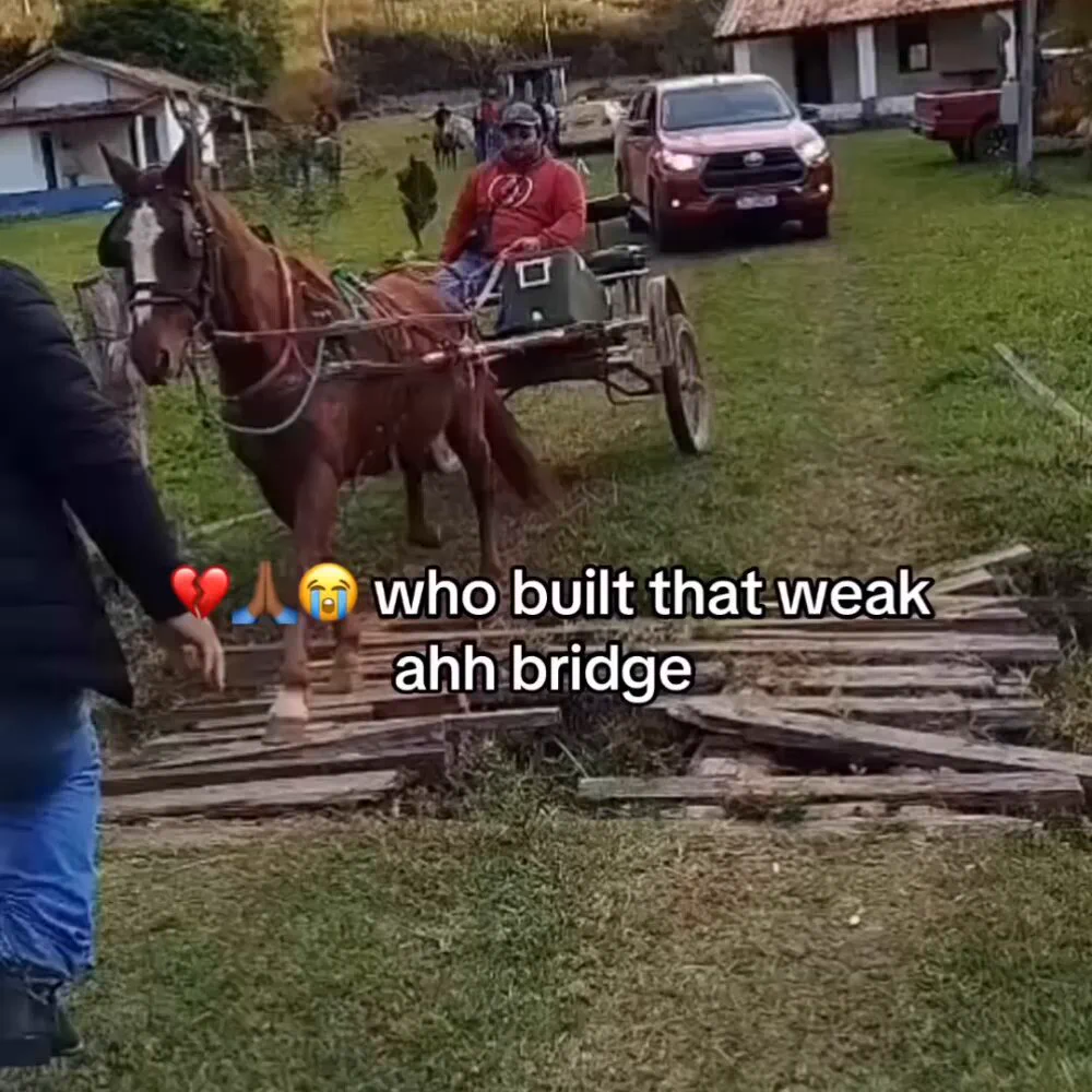 https://t.co/XutHGfzC08