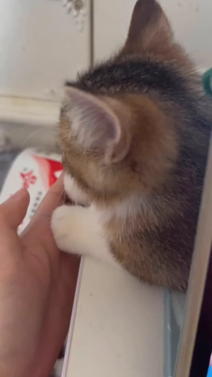 So soft https://t.co/61Gh2kLtOB