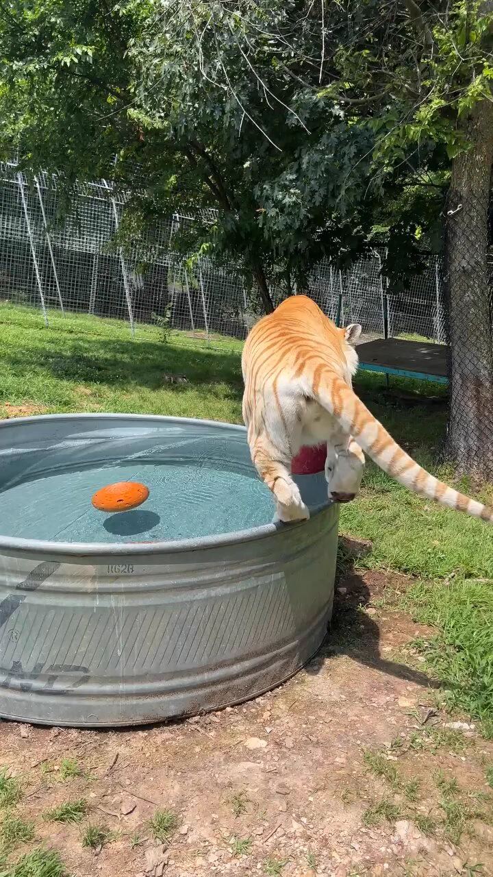 https://t.co/Pi90GQOPl2