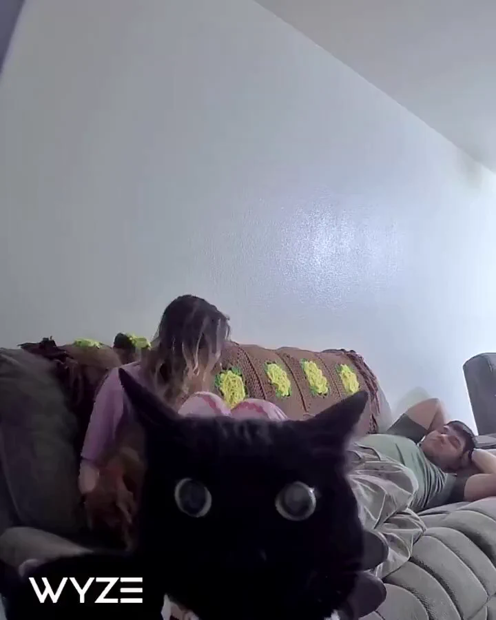 👁️👁️ https://t.co/SCK9TKmhiZ