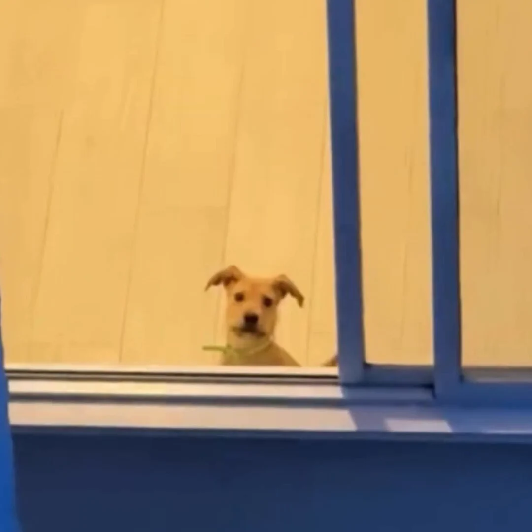 Hi neighbor! 😊 https://t.co/JwsNwWh5cv