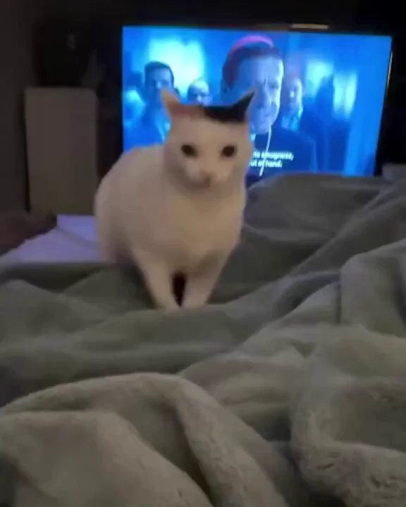 creature approaches with malicious intent https://t.co/kJan2SKQoZ