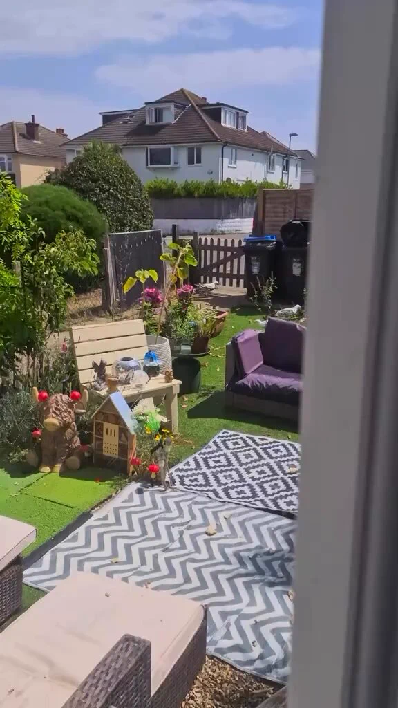 Not the smartest of the pack.. 😅 https://t.co/L8BHcGmtQH