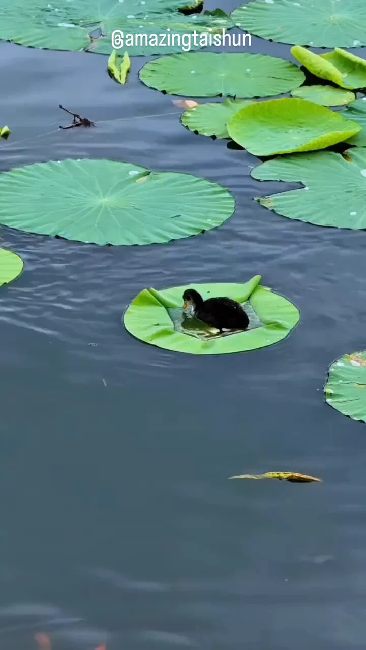 Cutest spa day ever 
 https://t.co/0RPvjUdwZZ