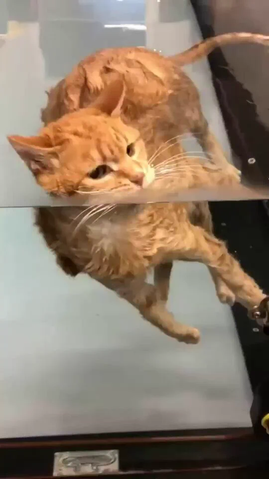 Floating https://t.co/3I1Miqmh2T