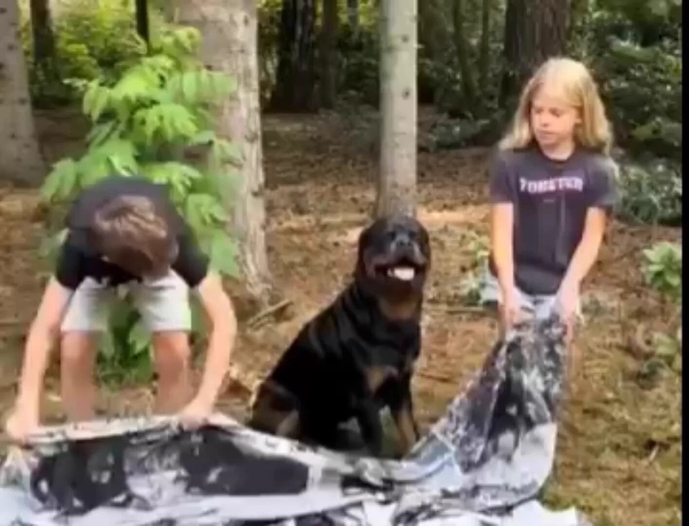 It’s magic.. 😂 https://t.co/2v4cqsBpCm