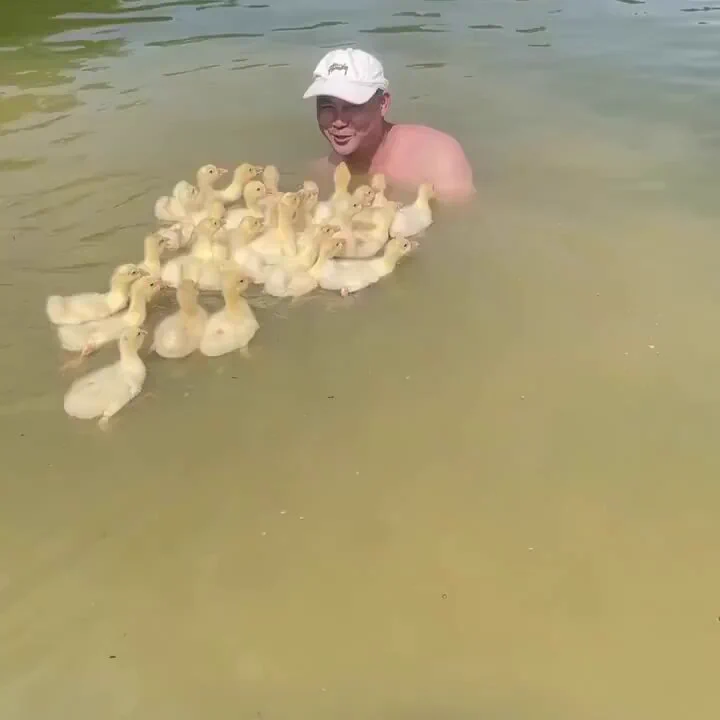 He’s the father now.. 😅 https://t.co/IueP4jKHGl