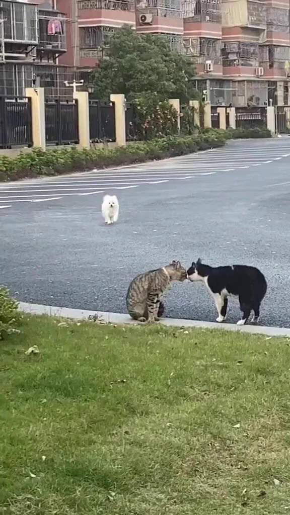 https://t.co/AE8SyFmm1p