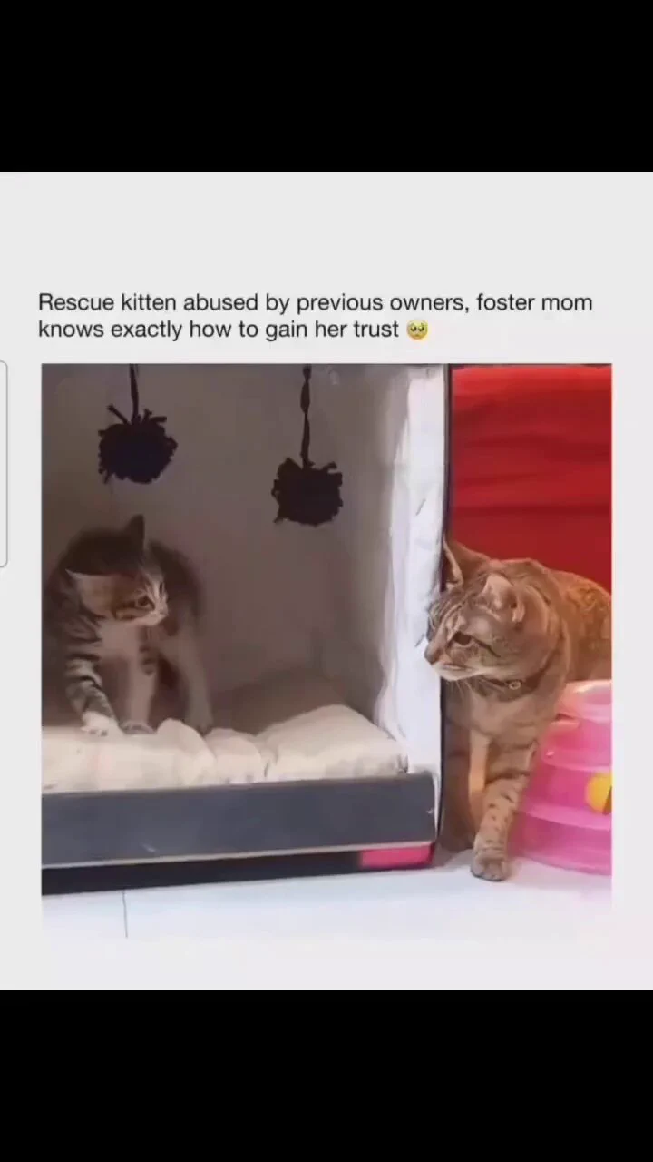 https://t.co/9e9RN2V9VU