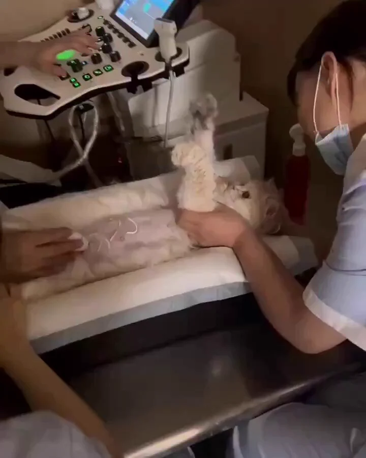 https://t.co/VJOQFjwQ9R