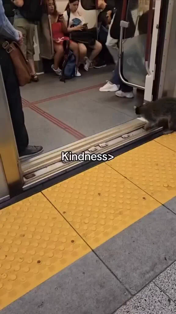 Kindness matters..🐾❤️ https://t.co/A22vTaYjRY