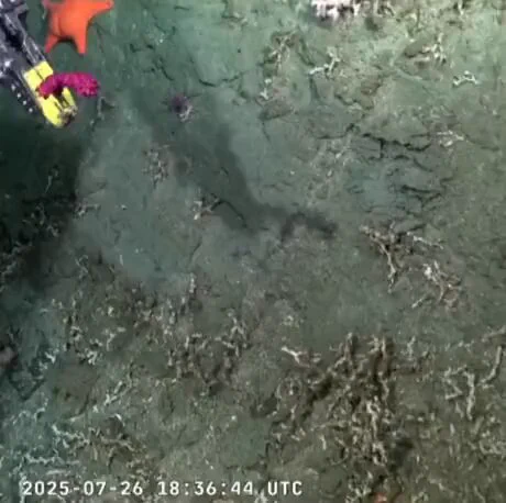 WE FOUND PATRICK! https://t.co/0kbZEnyntv