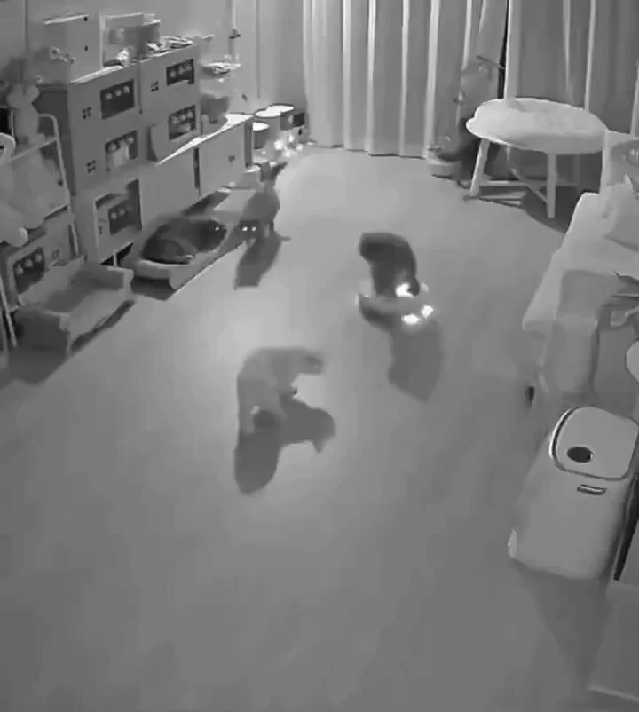 Working the night shift. https://t.co/KFR1AIrJsj