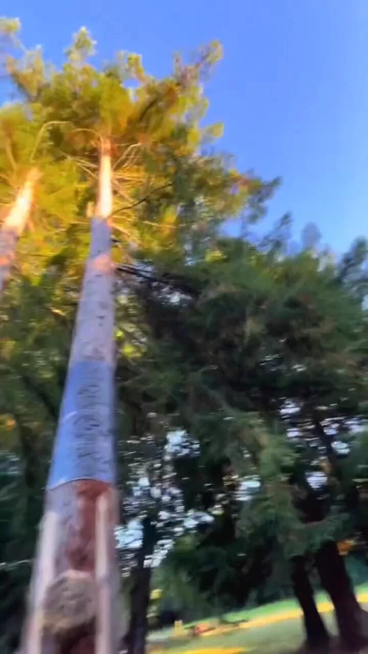 An unusual bounce
https://t.co/egxxyjDx9N