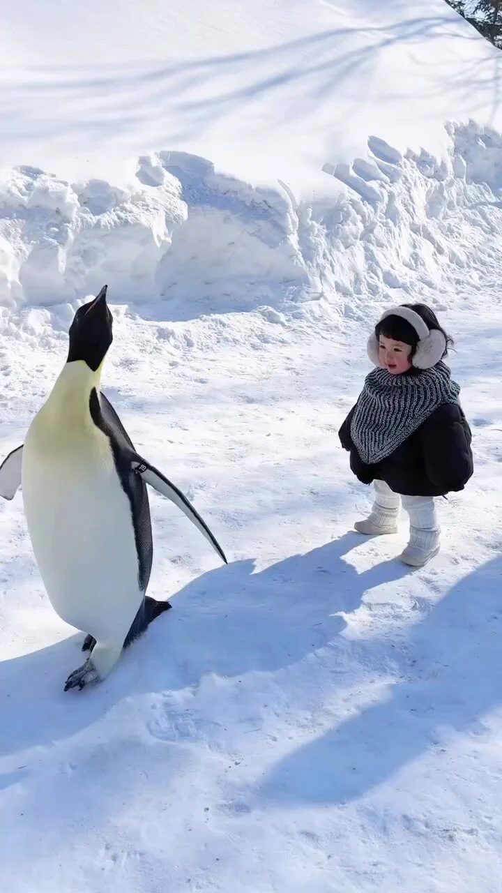 Little girl thinks she's a penguin..🐧👧😍 https://t.co/rNDFYkaYoX