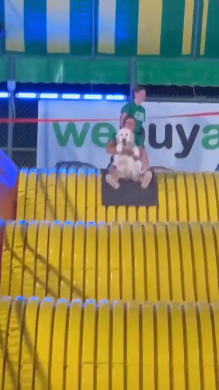 Being a service dog doesn’t mean skipping playtime! 😊 https://t.co/PSKWuFkXym