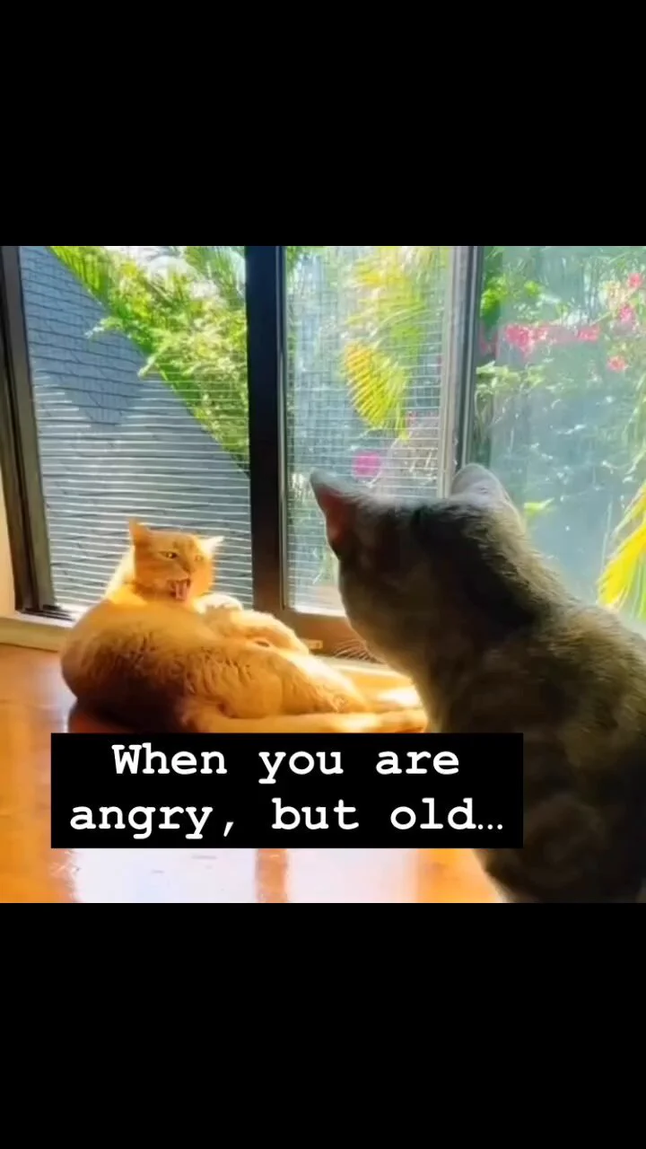 When you are angry, but old... https://t.co/DzCK841pK7