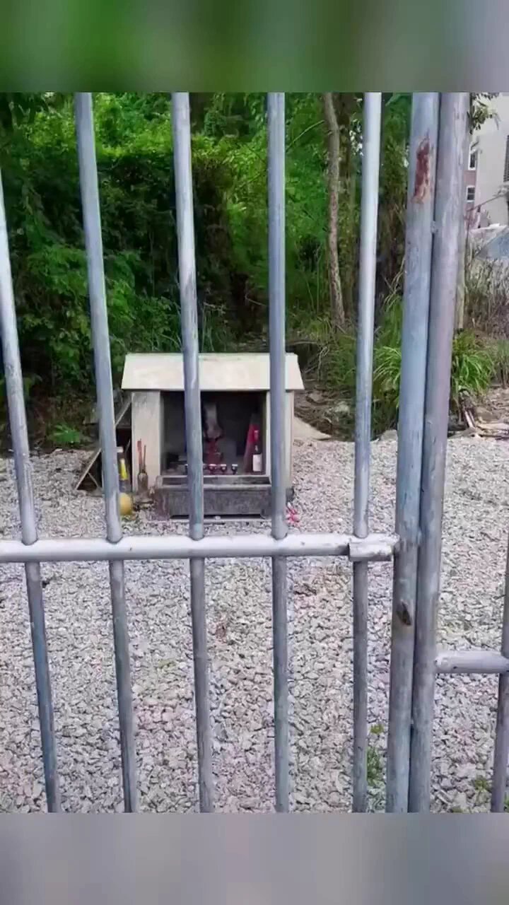 十二生肖里没有猫🐱是有原因的🤔

猫😼不是养，得供起来🐈🐾🫶😻 https://t.co/3X86xhatz5
