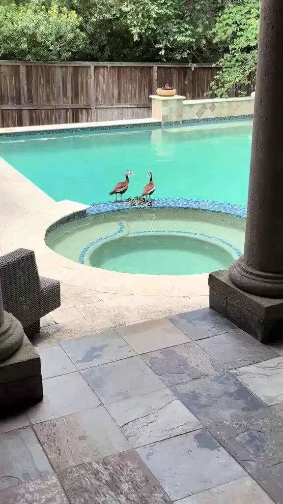 There is always one in the family. 😂 https://t.co/nj3IdomrQQ