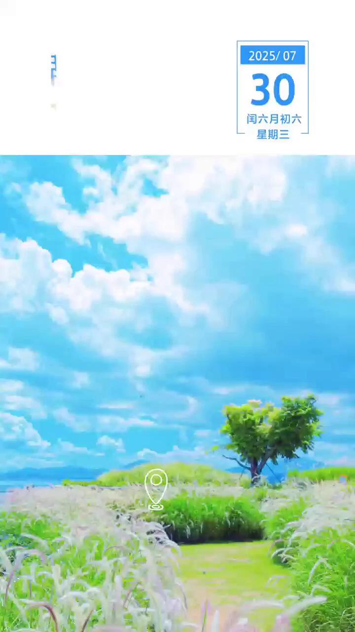 平凡草木，亦能舞出生命的华章～
#深圳南山区蛇口太子湾 https://t.co/JtZyLJ5lML