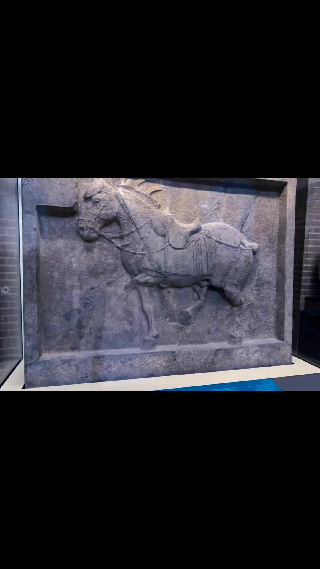 在宾大博物馆看到了昭陵六骏中的飒露紫、拳毛䯄。它们于1918年被卢芹斋盗卖到美国，后为实业家埃尔德里奇·R·约翰逊购得，并捐献给宾夕法尼亚大学博物馆。 https://t.co/6dF84xtiTI