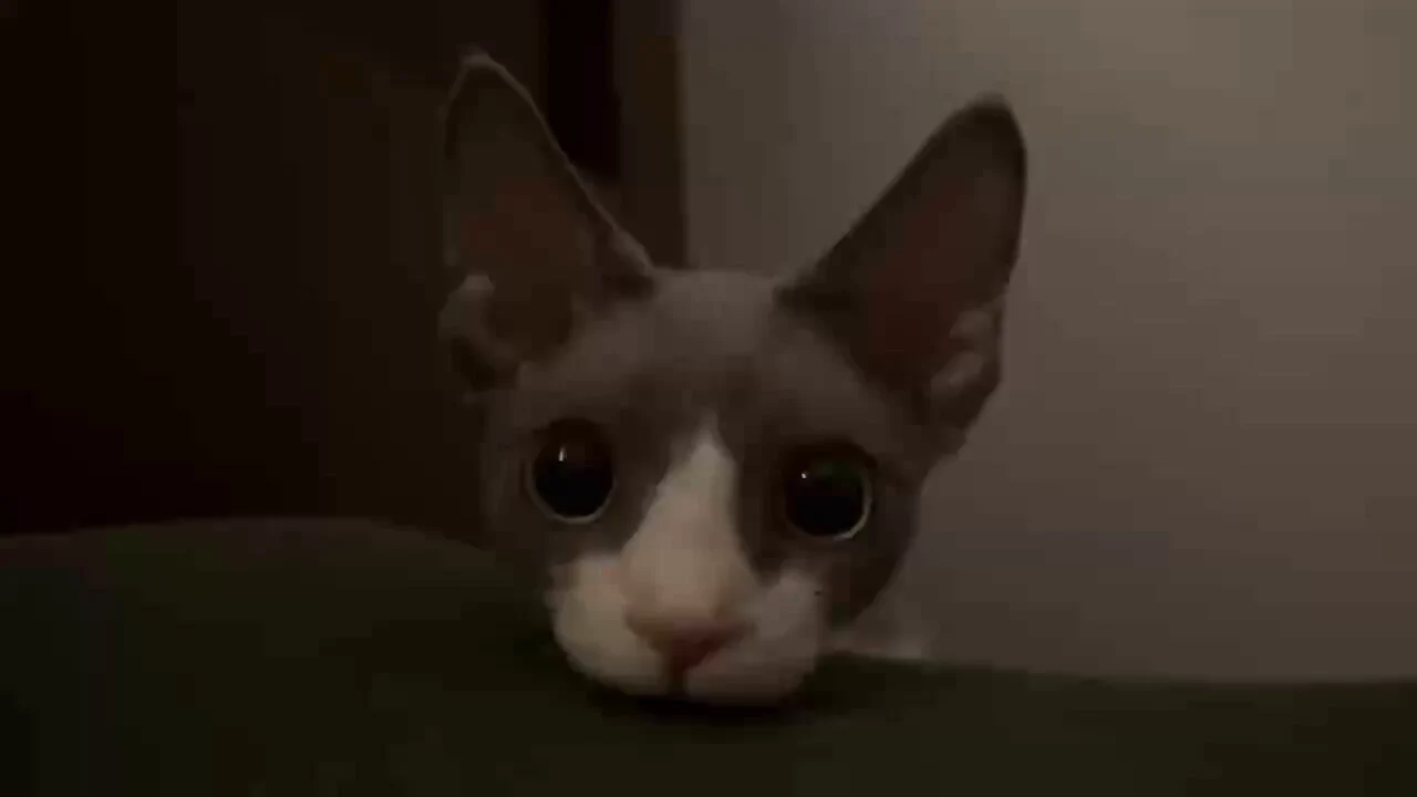 https://t.co/iihAEVXqbj