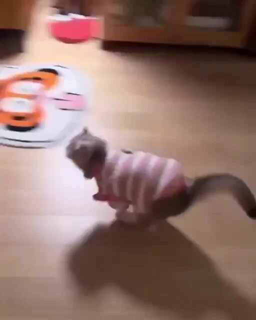 😅 https://t.co/A3oOB1FN83