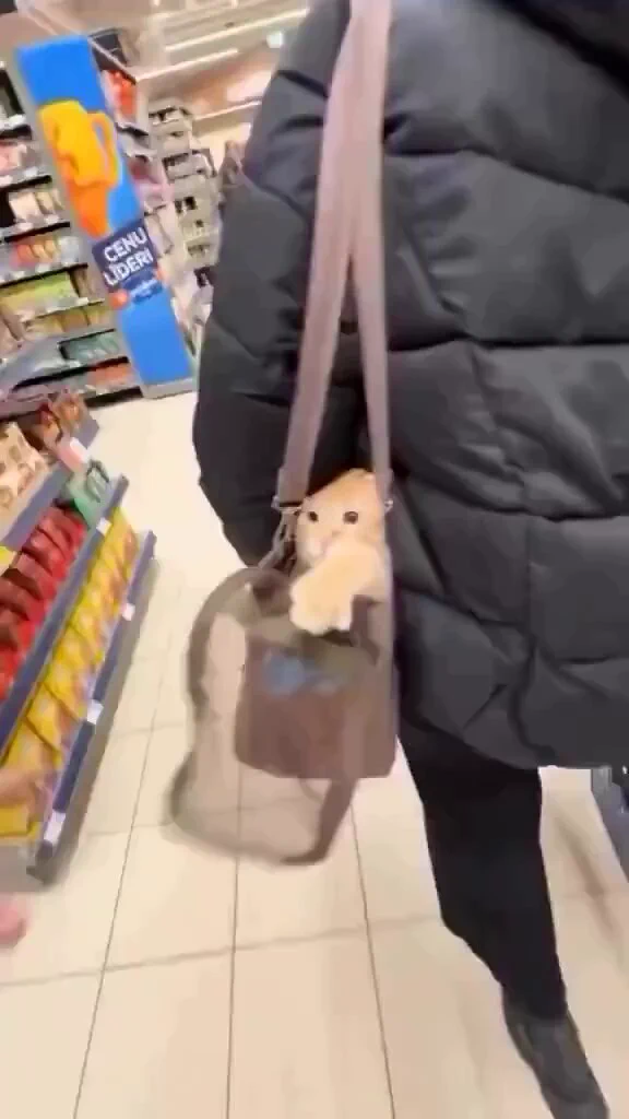 Awwwwwwwwww🥰 https://t.co/Ir0JFnoOcd