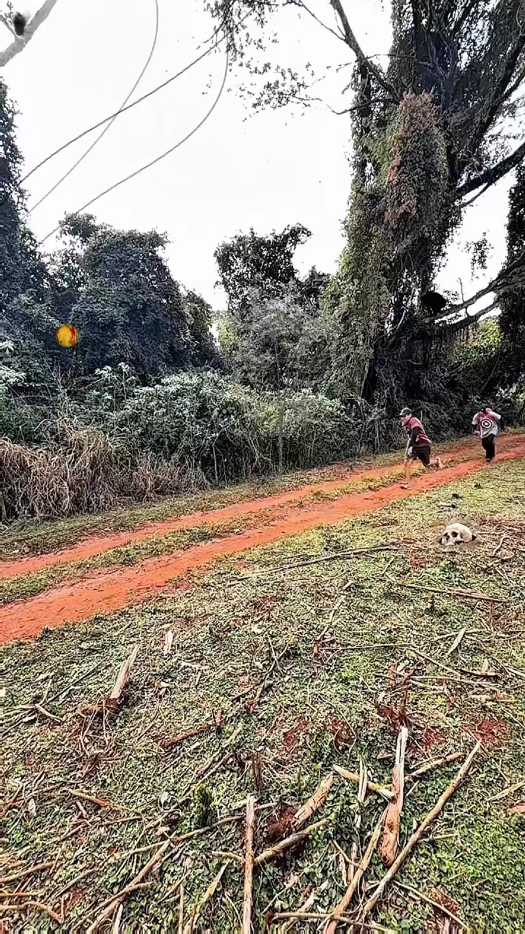 https://t.co/lUj54mun36
