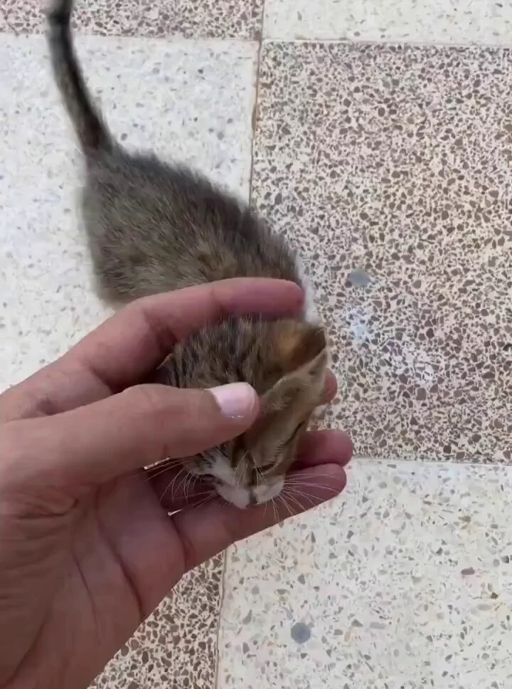https://t.co/cnYlPdCNLz