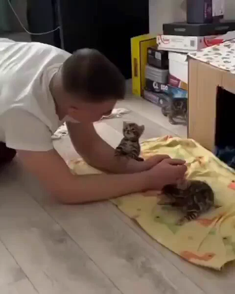 https://t.co/LQVlc7oOJM