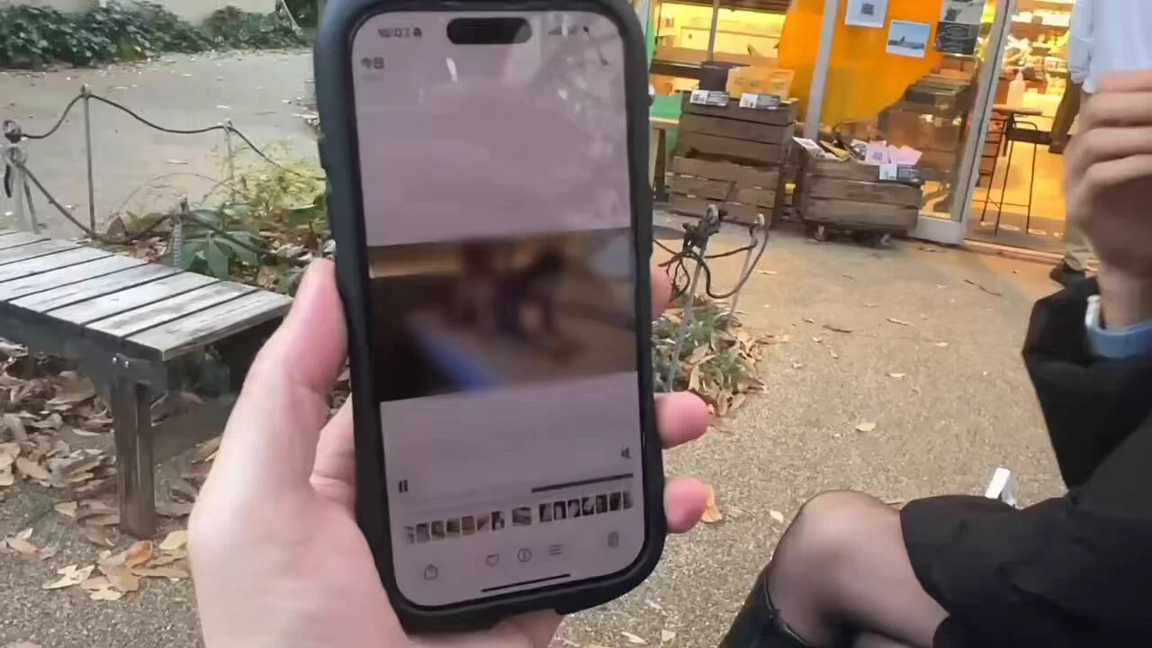 代官山デートしながら本人にハメ撮り見せたら恥ずかしがりながら喜んでました（たぶん） https://t.co/c2pSxcpQUq