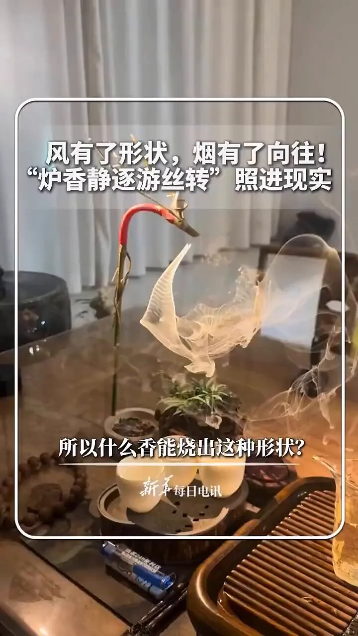 风有了形状，烟有了向往！“炉香静逐游丝转”照进现实，所以什么香能烧出这种形状？ https://t.co/7y4egRDNUo